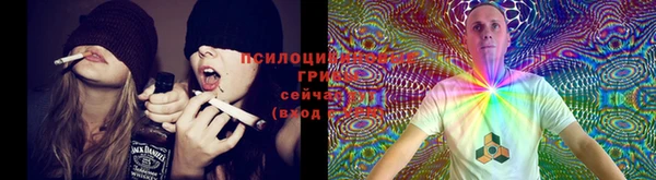 jwh Верея